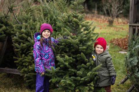 Chase's Christmas Tree Farm